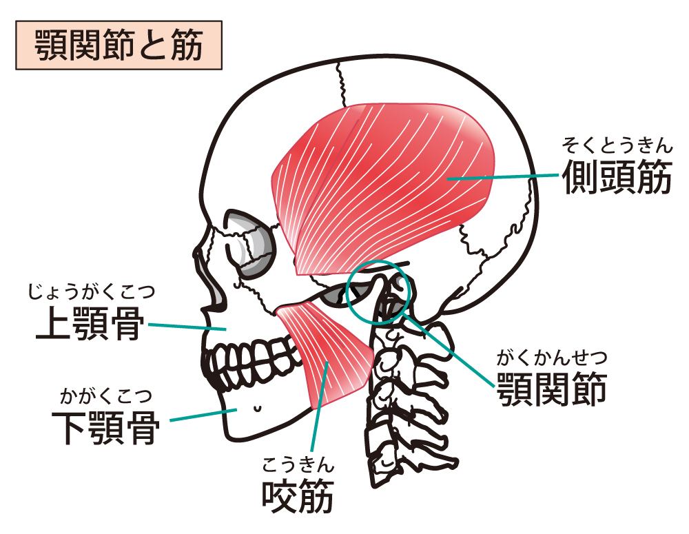 顎関節症はストレスが原因なのでしょうか?